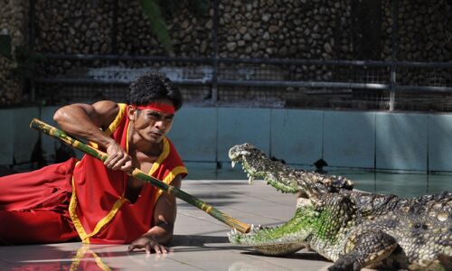 Phuket Animal Show